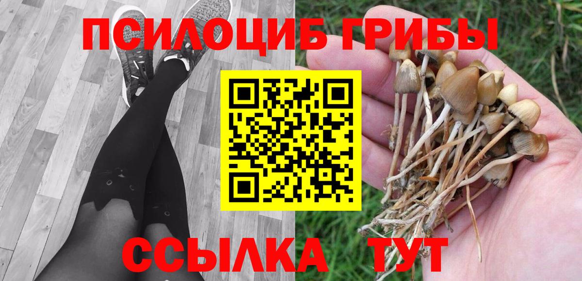 Псилоцибиновые грибы Cubensis  Вход с VPN  Троицк 
